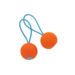 Afschietset outdoor met net + 2 balletjes