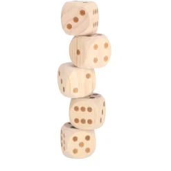 Alert Outdoor Dobbelset XL Hout Compleet Met Scoreblok
