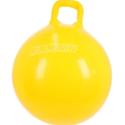 Alert Outdoor Skippy Bal 60 cm 2 Assorti