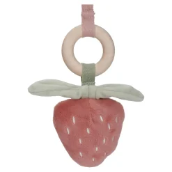 Babygym Fairy Garden