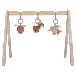 Babygym Fairy Garden