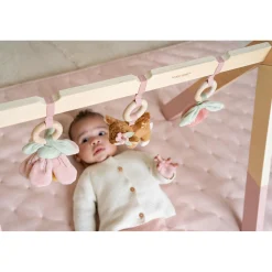 Babygym Fairy Garden