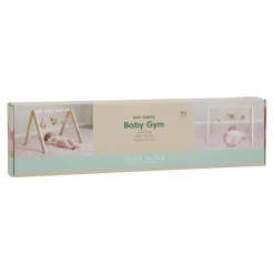 Babygym Fairy Garden