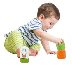 Clementoni baby clemmy Nijntje huis met blokken