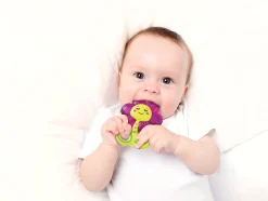 Clementoni baby gekoelde bijtring bloem