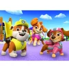 Clementoni paw patrol puzzel 2 x 20 stukjes