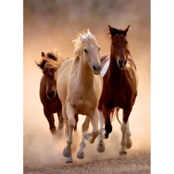 Clementoni Puzzel 1000 stuks rennende paarden compact