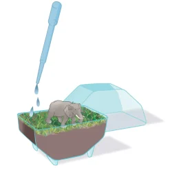 Clementoni wild Terrarium olifant