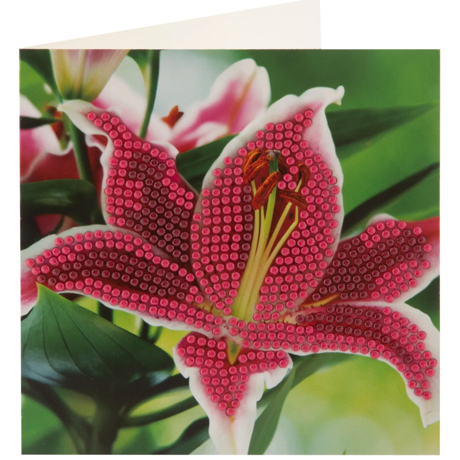 Diamond painting kaartenset 13x13 cm 2 stuks 3 assorti