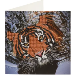 Diamond painting kaartenset 13x13 cm 2 stuks 3 assorti