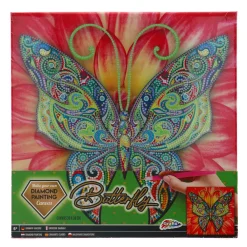 Diamond Painting Op Canvas 30x30 cm 3 assorti