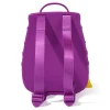 Dora Rugzak Met 3 Accessoires