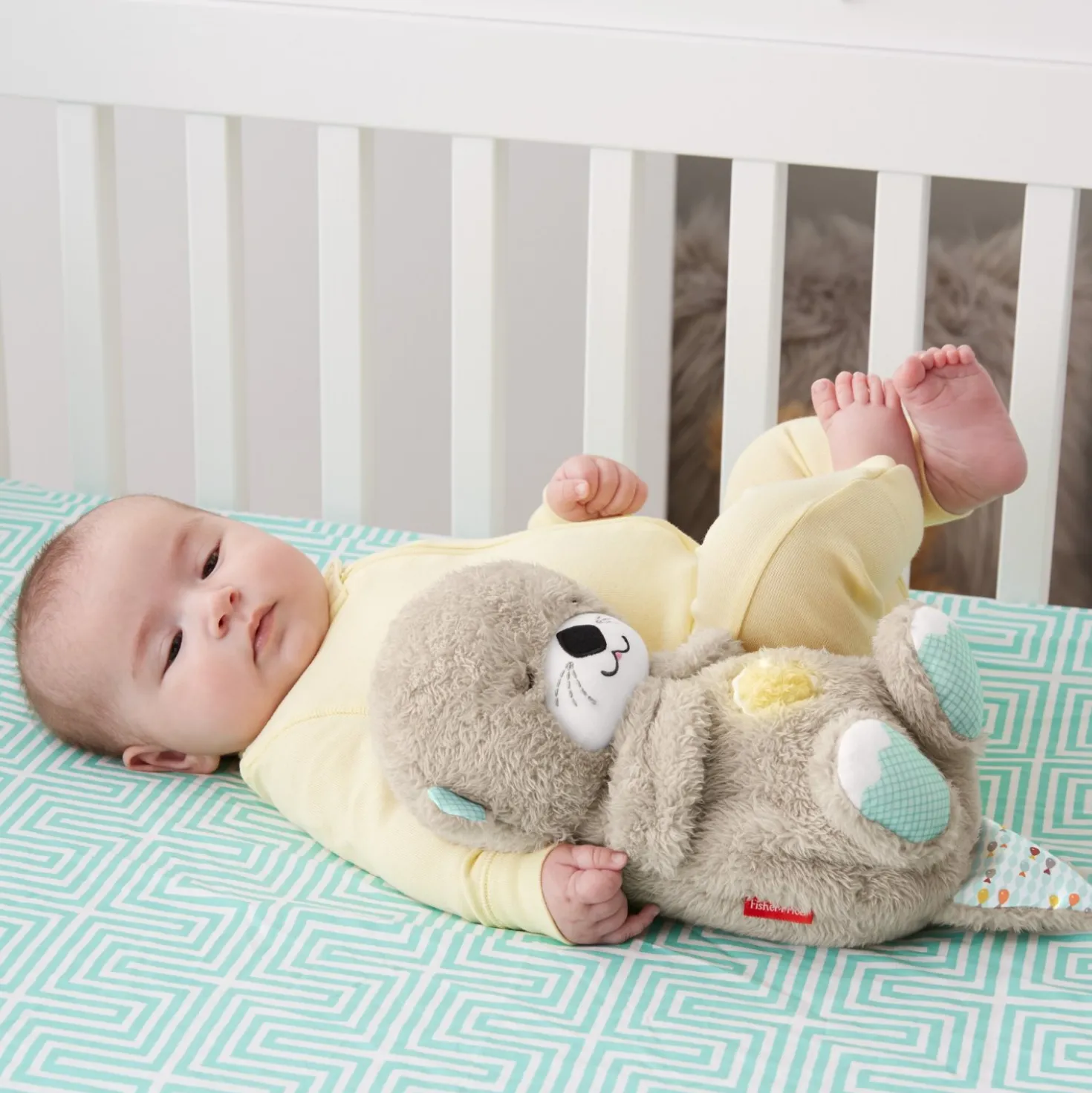 Fisher Price Bedtijd Otter