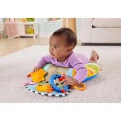 Fisher Price new born balanced beginnings buik