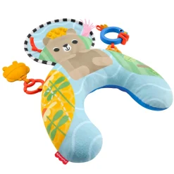 Fisher Price new born balanced beginnings buik