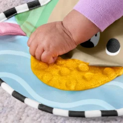 Fisher Price new born balanced beginnings buik