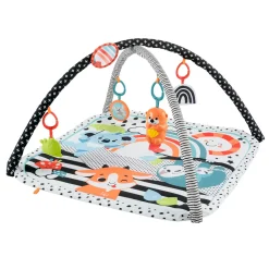 Fisher Price new born 3-in-1 glow & grow gym