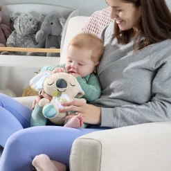 Fisher price on the go koala soother
