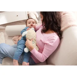 Fisher Price Soothe And Settle Bunny