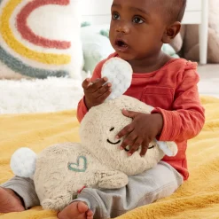 Fisher Price Soothe And Settle Bunny