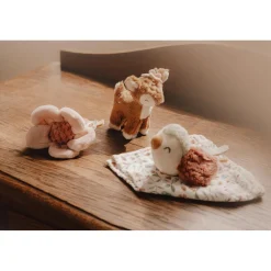 Giftset Knuffels Fairy Garden