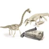 Jurassic world graaf set