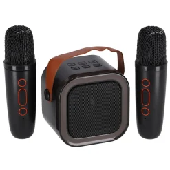 Karaoke duo set 2 micro's + speaker 13x8x14 cm