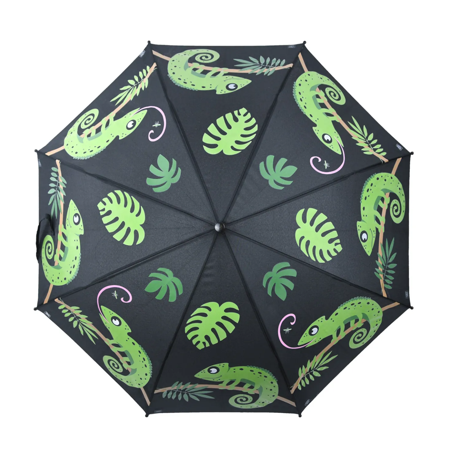 Kleur veranderende paraplu kameleon