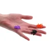 Kruipende sticky spin raamlopers 12 stuks