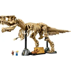 LEGO Dinosaur Fossils: Tyrannosaurus rex (76968)