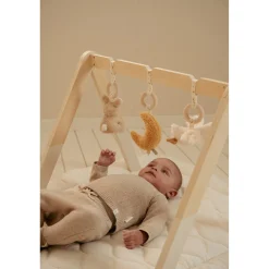 Little Dutch babygym newborn naturals
