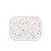 Lunchbox campus - fairy wonders