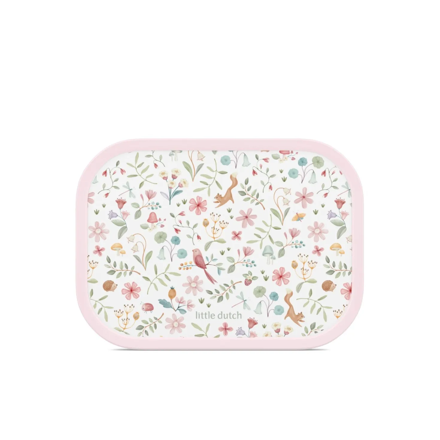 Lunchbox campus - fairy wonders