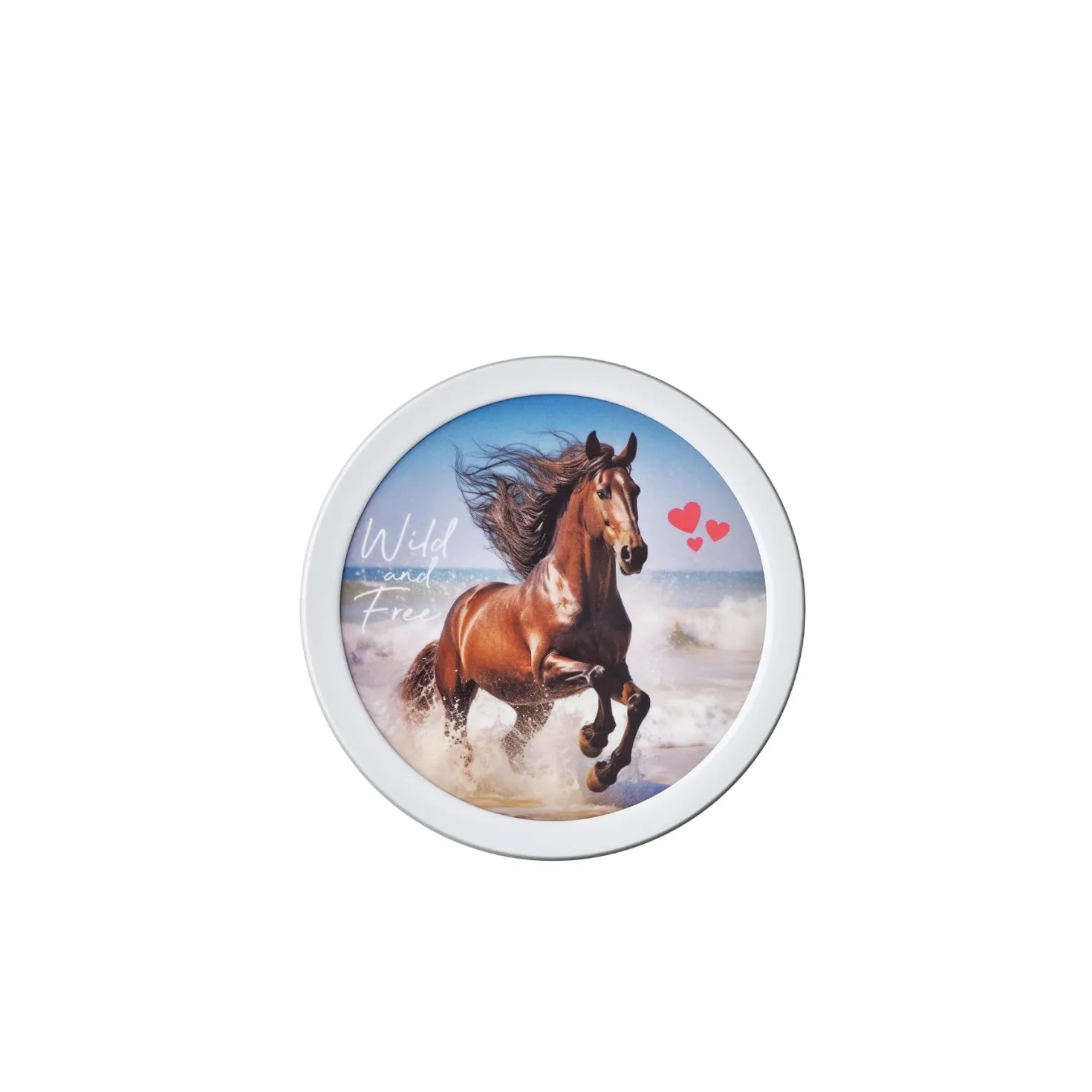 Mepal Campus Fruitbox 300 ml - wild horse