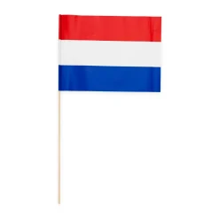 10 Papieren Zwaaivlaggen Nederland 20x30 Cm