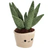 Pluchiez pluche plantjes 3 assorti
