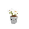Pluchiez pluche plantjes groot 35 cm 3 assorti