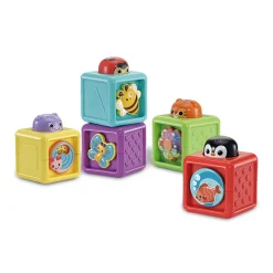 Premium Collectie Vtech Baby Stapel & Ontdek Blokkenset