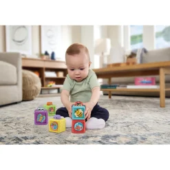 Premium Collectie Vtech Baby Stapel & Ontdek Blokkenset