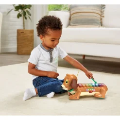 Premium Collection Vtech Baby Timmie Teckel Xylofoon