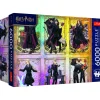 Puzzel Harry Potter 6000 stuks
