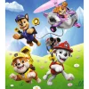 Puzzel Paw Patrol 24 Maxi