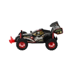 Radiografisch bestuurbare Buggy 1:16 2.4G B/O