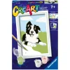 Ravensburger Creart schilderen op nummer border collie