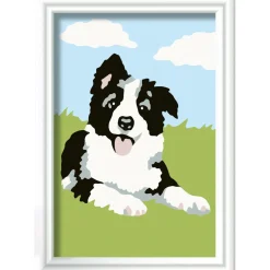 Ravensburger Creart schilderen op nummer border collie