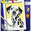 Ravensburger Creart schilderen op nummer Dalmatiër