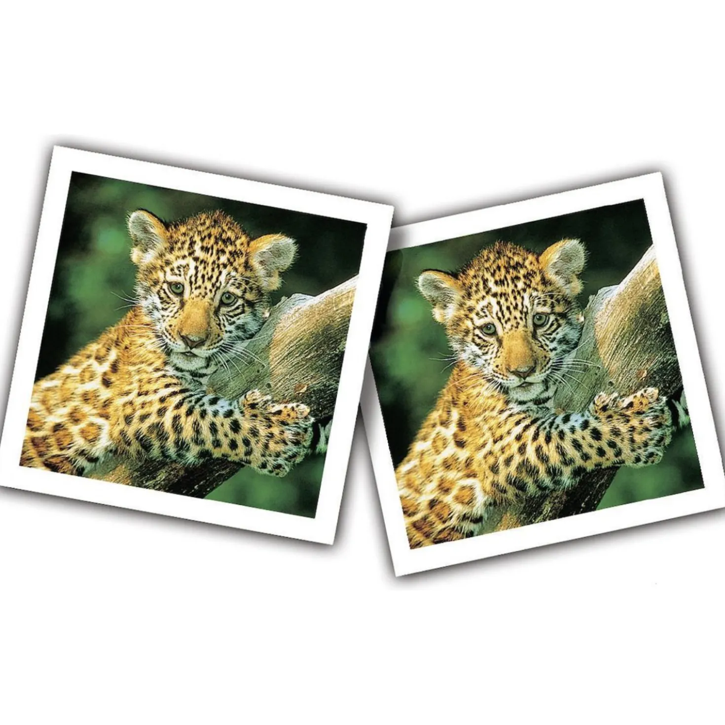 Ravensburger Memory Jonge Dieren Pocket