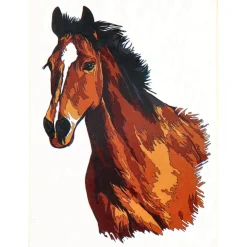 Schilderen op nummer paard