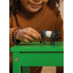 Schleich 13969 Galloway Kalf