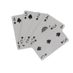 Speelkaarten In Doos 2 Sets - Kaartspel